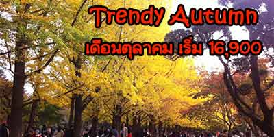 ทัวร์เกาหลี TRENDY AUTUMN พักซอรัคซาน เดือนตุลาคม 59 รูปที่ 1