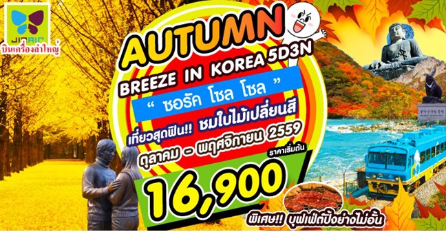 ทัวร์เกาหลี 5 วัน 3 คืน AUTUMN BREEZE IN KOREA บิน LJ  ขึ้น รถไฟสายโรแมนติก รูปที่ 1