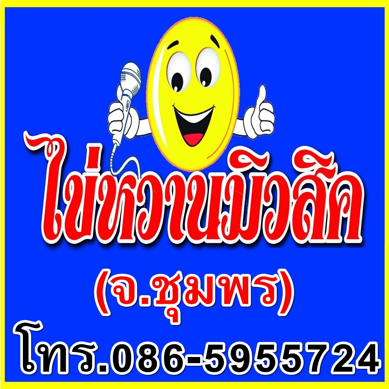 เครื่องเสียง วงดนตรี จังหวัดชุมพร รูปที่ 4