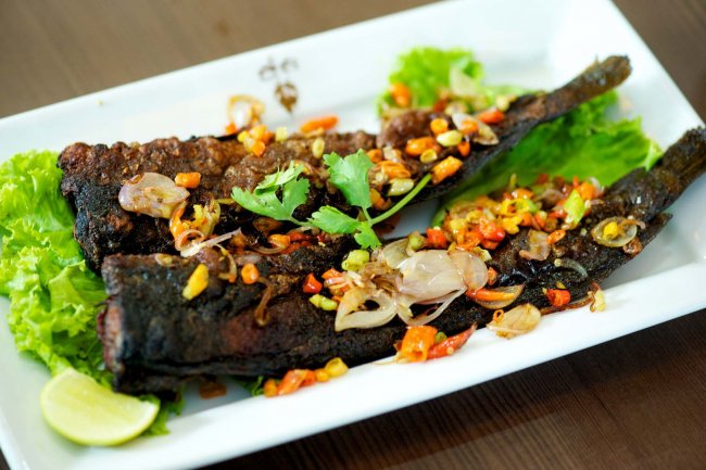 ปลาดุกร้า ของดีปักษ์ใต้ ใช่ว่าจะหากินง่ายๆ อร่อย หอม สะอาด รูปที่ 6