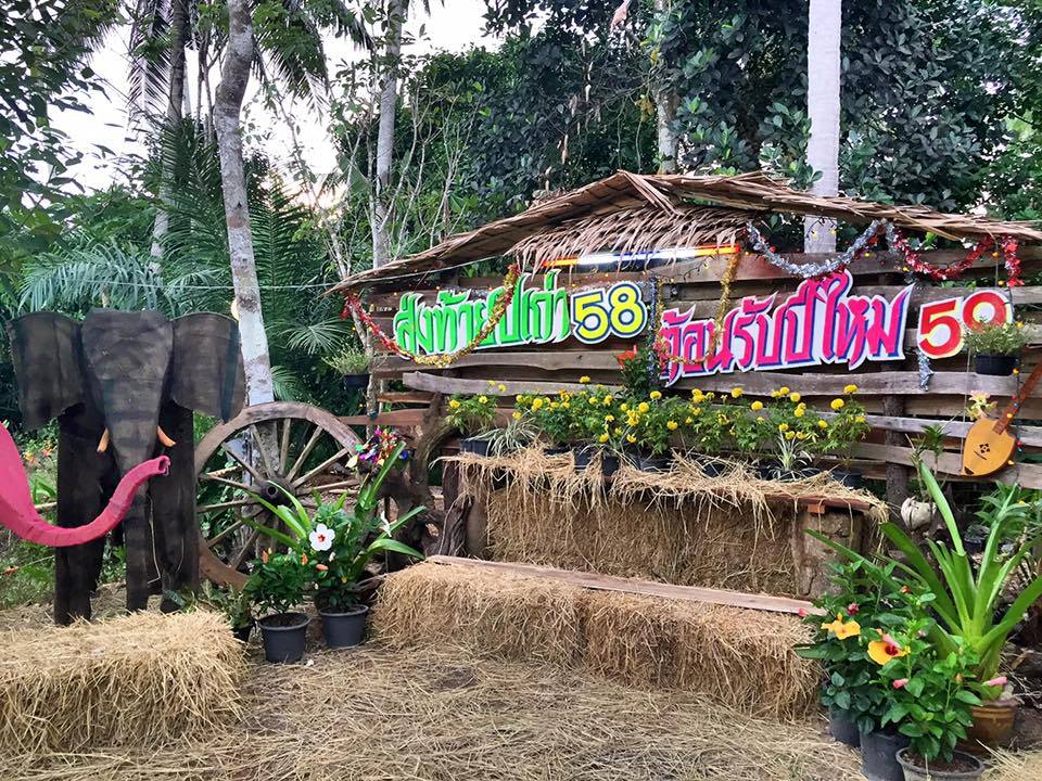 วงดนตรี,เครื่องเสียงจังหวัดชุมพร,ไข่หวานมิวสิค ชุมพร รูปที่ 4