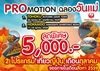 PROMOTION ฉลองวันแม่ เที่ยวญี่ปุ่น เดือนตุลาคม 2559 รูปที่ 1