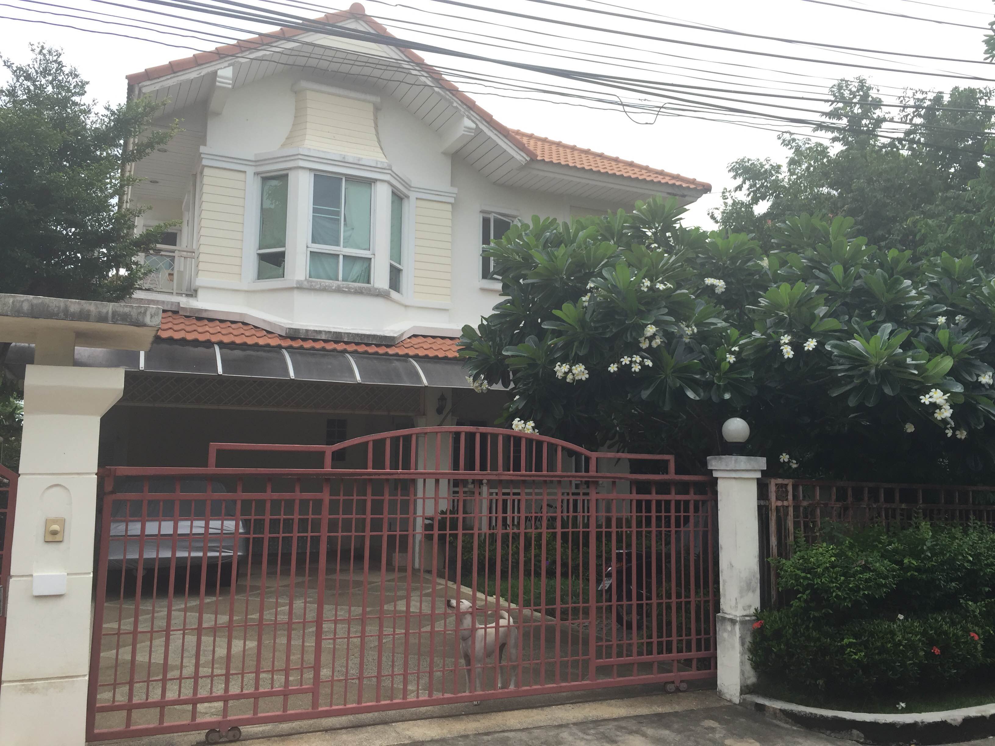 บ้านเดี่ยว 2 ชั้น ม.มณีรินทร์พาร์ค-รัตนาธิเบศร์ ใกล้ตลาดท่าอิฐ รูปที่ 1