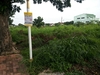 รูปย่อ ขาย ที่ดิน  ในหมู่บ้านชลลดา ซ.23  อ.บางบัวทอง  จ.นนทบุรี รูปที่1
