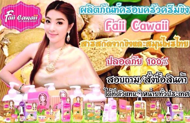 ครีมขิง Faiicawaii ครีมบำรุงผิวหน้า หยุดทุกปัญหาผิวที่มีอาการแพ้ รูปที่ 1