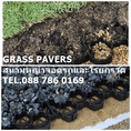 จำหน่ายบล็อกพลาสติกปลูกหญ้าจอดรถ GRASS PAVER ติดต่อ 088 7860169