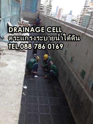 จำหน่ายแผ่นตระแกรงระบายน้ำใต้ดิน Drainage cell ติดต่อ 088 7860169 รูปที่ 2