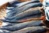รูปย่อ ปลาดุกร้า ของดีปักษ์ใต้ ใช่ว่าจะหากินง่ายๆ อร่อย หอม สะอาด รูปที่2