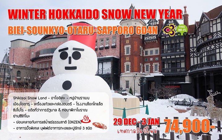 Winter Snow Hokkaido รูปที่ 1