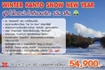 Winter Kanto Snow 5D/3N