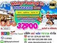 ทัวร์ญี่ปุ่น ฮอกไกโด  WINTER FESTIVAL IN HOKKAIDO 6D4N (HX)