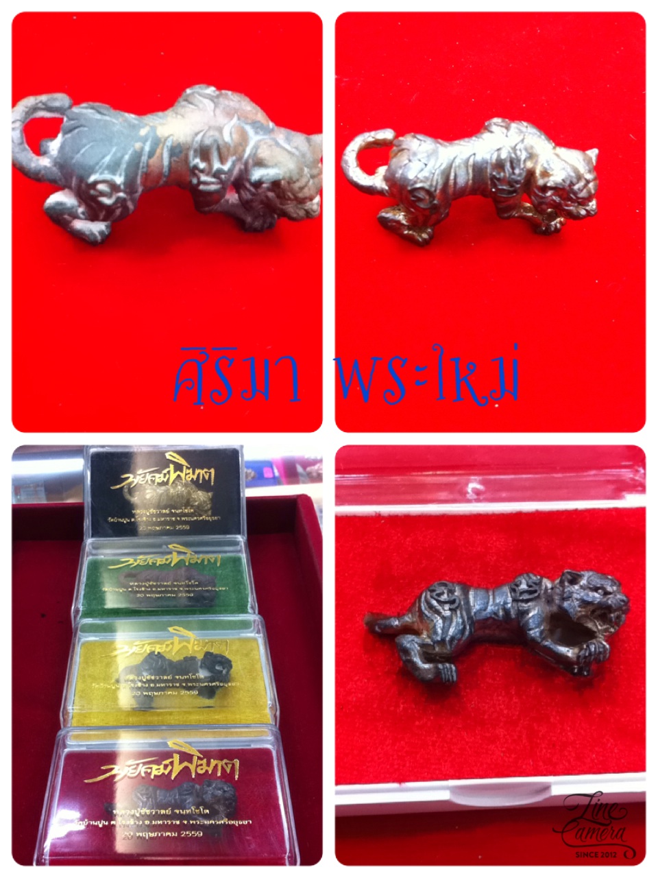 พยัคพิฆาต รูปที่ 4