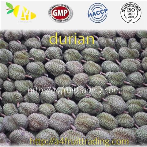 A4 fruit trading ส่งออกผลไม้สดและผลไม้แปรรูป เกรดพรีเมี่ยม รูปที่ 4