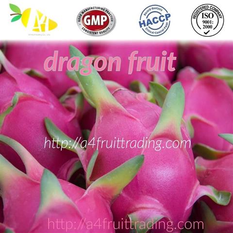 A4 fruit trading ส่งออกผลไม้สดและผลไม้แปรรูป เกรดพรีเมี่ยม รูปที่ 7