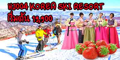 ทัวร์เกาหลี KOREA SKI RESORT (พักสกีรีสอร์ท) รูปที่ 1