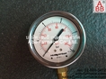 Nuova Fima   0-10Bar  (0~145Psi) Pressure Gauge