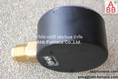 DUNGS  0 -160mbar Pressure Gauge  