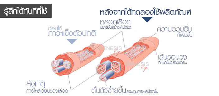 Genesis Men Serum เจลนวดเฉพาะจุดท่านชาย ช่วยเพิ่มขนาด รูปที่ 6