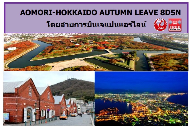 ทัวร์เที่ยวญี่ปุ่น ทัวร์ญี่ปุ่นราคาถูก HOKKAIDO HAKODATE-SHIRETOKO 8D5N โดยสายการบิน JL 11-18 ตุลาคม 59 ราคา 79,900 บ. รูปที่ 1