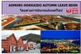 ทัวร์เที่ยวญี่ปุ่น ทัวร์ญี่ปุ่นราคาถูก HOKKAIDO HAKODATE-SHIRETOKO 8D5N โดยสายการบิน JL 11-18 ตุลาคม 59 ราคา 79,900 บ.