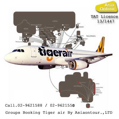 Tiger air Groups booking รับจองตั๋วกรุ๊ปไทเกอร์แอร์ทุกเส้นทาง โทร 02-9621588 รูปที่ 1
