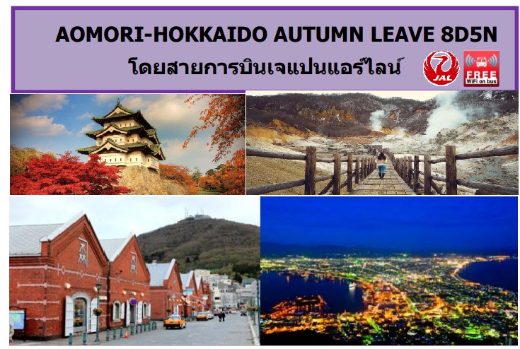 ทัวร์เที่ยวญี่ปุ่น ทัวร์ญี่ปุ่นราคาถูก ทัวร์วันหยุดวันปิยะ AOMORI-HOKKAIDO AUTUMN LEAVE 8D5N โดยสายการ JL 18 -25 ตุลาคม 59 ราคา 84,900 บ. รูปที่ 1