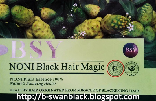 B-Swan BSY NONI Black Hair Magic 2012 แนะนำวิธีการดูแชมพูปิดผมขาวของแท้ 100% รูปที่ 1