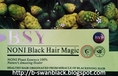 B-Swan BSY NONI Black Hair Magic 2012 แนะนำวิธีการดูแชมพูปิดผมขาวของแท้ 100%