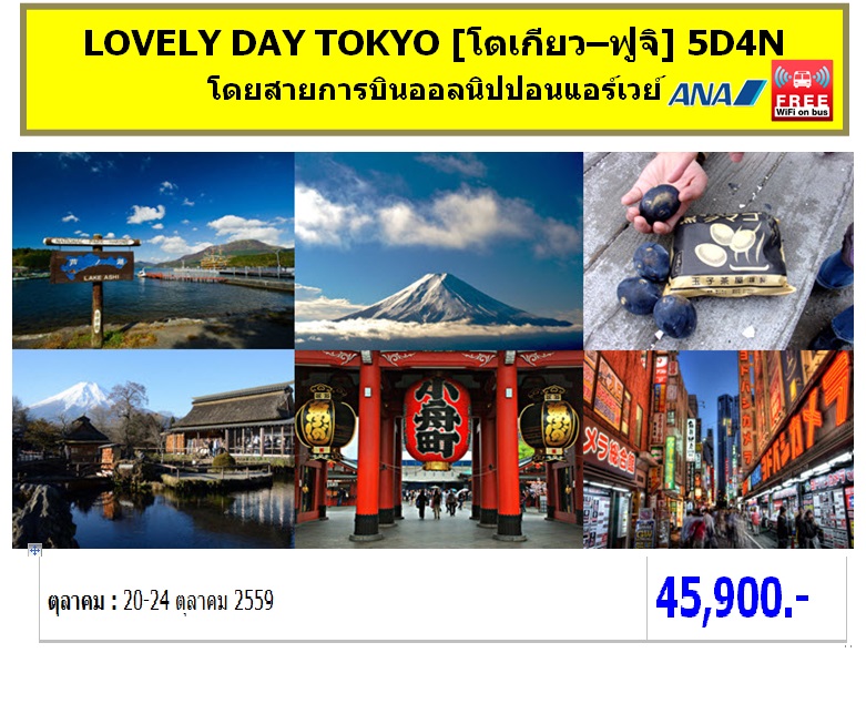 ทัวร์ญี่ปุ่น เที่ยวญี่ปุ่นราคาถูก 20-24 ตุลาคม 59  LOVELY DAY TOKYO [โตเกียว–ฟูจิ] 5D4N โดยสายการบิน NH ราคา 45,900 บาท รูปที่ 1