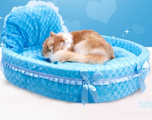 Kowneawpaipetshopจำหน่ายที่นอนหมาและที่นอนแมวรวมทั้งอุปกรณ์สุนัขนำเข้า รูปที่ 4