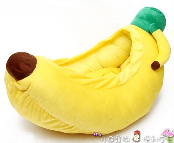 Kowneawpaipetshopจำหน่ายที่นอนหมาและที่นอนแมวรวมทั้งอุปกรณ์สุนัขนำเข้า รูปที่ 5