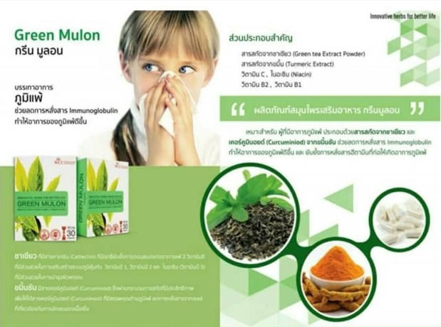 GREEN MULON กรีนมูลอน บรรเทาอาการภูมิแพ้ ช่วยลดการหลั่งสารImmunoglobulin ทำให้อาการของภูมิแพ้ดีขึ้น รูปที่ 2