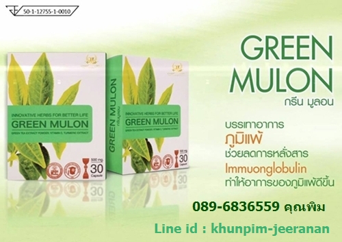 GREEN MULON กรีนมูลอน บรรเทาอาการภูมิแพ้ ช่วยลดการหลั่งสารImmunoglobulin ทำให้อาการของภูมิแพ้ดีขึ้น รูปที่ 1