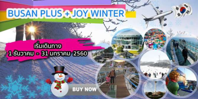 ทัวร์เกาหลีปูซาน BUSAN PLUS +JOY WINTER 4 วัน 2 คืน เดินทาง ธันวาคม 59 ถึง มกราคม 60 รูปที่ 1