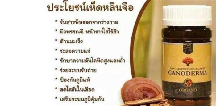 Organo รูปที่ 6
