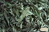 รูปย่อ ขาย หญ้าหวาน (Stevia) หญ้าหวานแห้ง สมุนไพรสำหรับให้ความหวานโดยธรรมชาติ จำหน่ายโดย ร้านขายยาจีน เจี้ยนคัง สั่ง ซื้อ ได้เลย รูปที่1