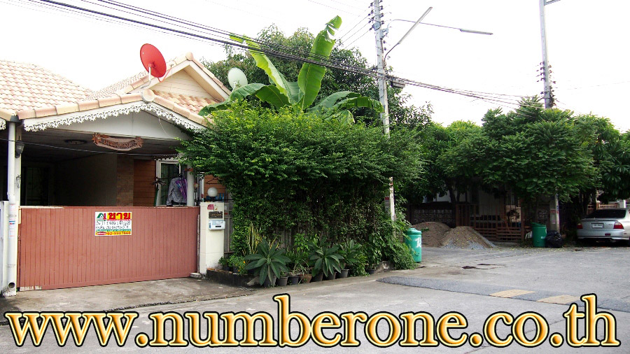 ม.รักไทย ถ.บ้านกรด-วัดสุทธิฯ รูปที่ 1