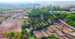 ‪#‎ขายที่ดินสวยมากบนเนิน‬‬ ‪#‎ติดถนนดำเลียบเชิงดอยอินทนนท์‬‬ รูปที่ 1