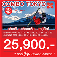 ทัวร์ญี่ปุ่น เที่ยวญี่ปุ่น COMBO TOKYO 5 วัน 3 คืน รูปที่ 1