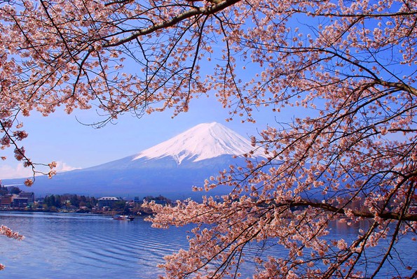 ทัวร์ญี่ปุ่นเที่ยวญี่ปุชมดอกซากุระเปิดจองแล้วจ้า Special Sakura XJ6 วัน 3 คืน เดินทางมีนาคม – เมษายน 60 รูปที่ 1