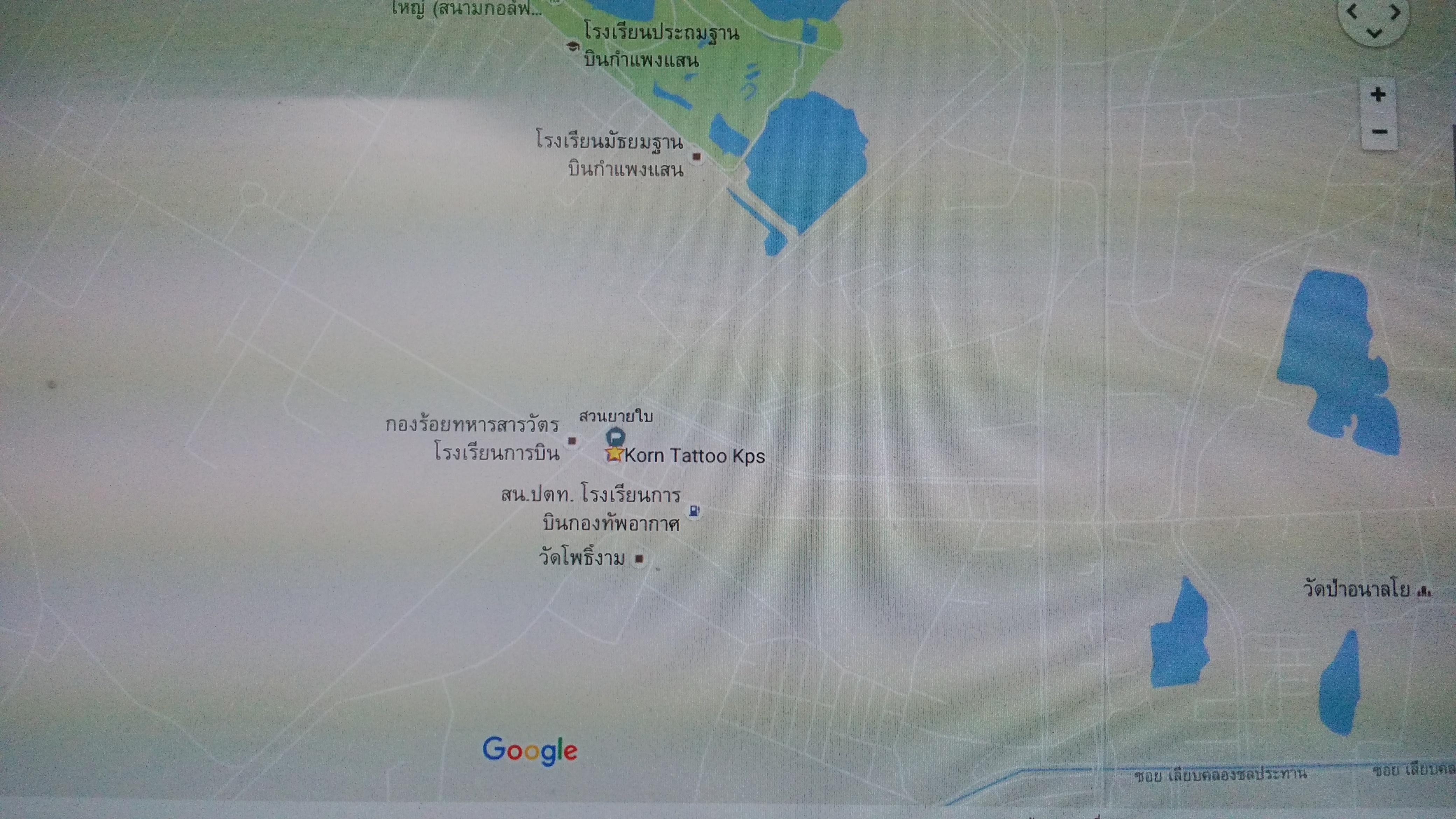 ขายพันธ์มะพร้าวน้ำหอม บ้านแพ้ว ในถุงเพาะ 8 *19