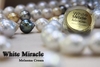 รูปย่อ KC White Miracle Cream เวชสำอางนวัตกรรมใหม่จากประเทศอิตาลี รูปที่3