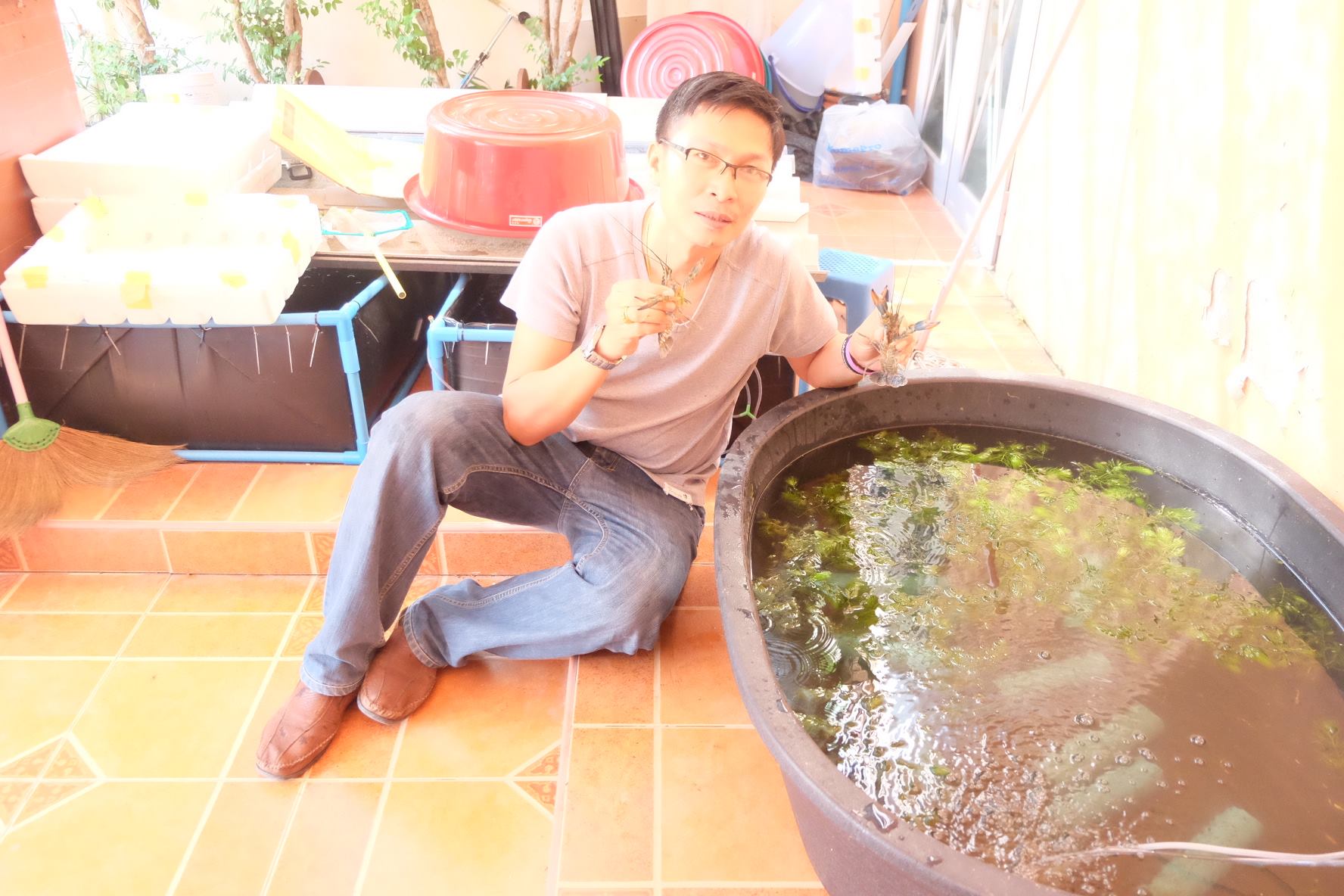 กุ้งก้ามแดง,กุ้งก้ามแดงรังสิต,กุ้งก้ามแดงสวยงาม,กุ้งก้ามแดงปทุมธานี รูปที่ 7