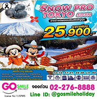 ทัวร์ญี่ปุ่น เที่ยวญี่ปุ่น : SNOW PRO TOKYO 5วัน3คืน  รูปที่ 2