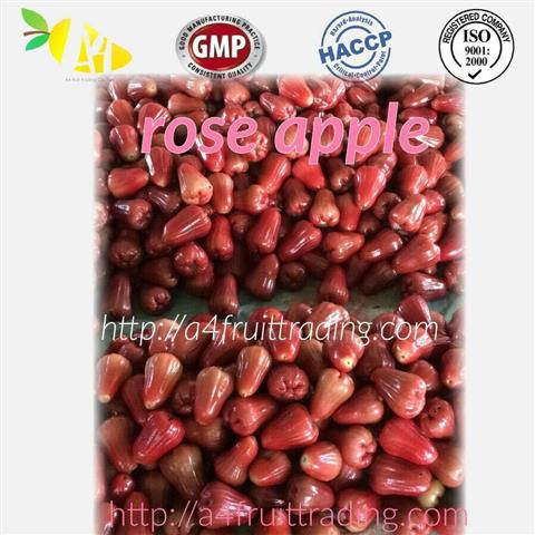 A4 Fruit Trading company is Thai fruit company รูปที่ 2