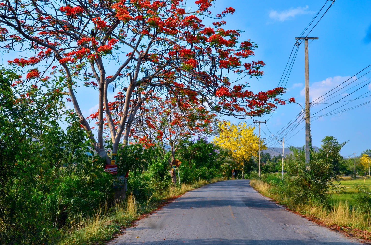 ‪#‎ขายที่ดินสวยมากบนเนิน‬‬ ‪#‎ติดถนนดำเลียบเชิงดอยอินทนนท์‬‬ รูปที่ 1