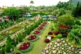 สวนนงนุช Nong Nooch Garden & Resort