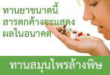 ตรีผลา ล้างพิษ ตะกรันในสำไส้ ปลอดรา มีของแถมฟรี รูปที่ 9