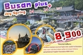 ทัวร์เกาหลีปูซาน 4 วัน 2 คืน BUSAN PLUS+JOY SPRINGเดินทางมีนาคมราคาเริ่มต้น 8900 บาท