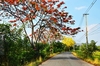 รูปย่อ ขายที่ดินสวยมากบนเนิน‪ ‎ลำธารน้ำไหลผ่านที่ดิน‬‬ ‪‎ติดภูเขา‬‬ รูปที่4